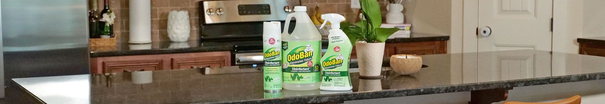 OdoBan® Disinfectant & Odor Eliminator in the Kitchen
